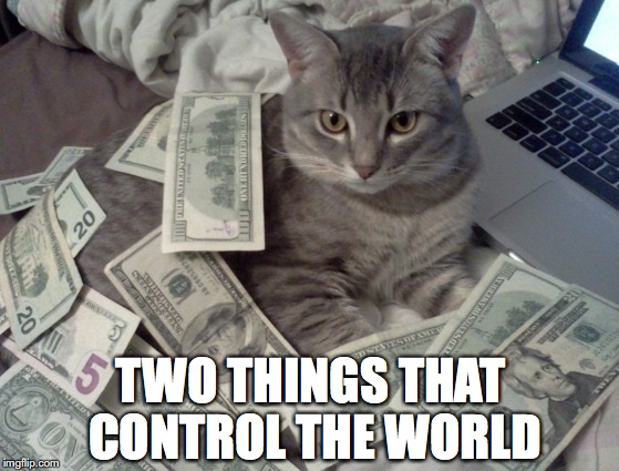 The two things that control the world: cash and cats money meme