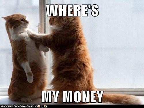 where's my money meme cats