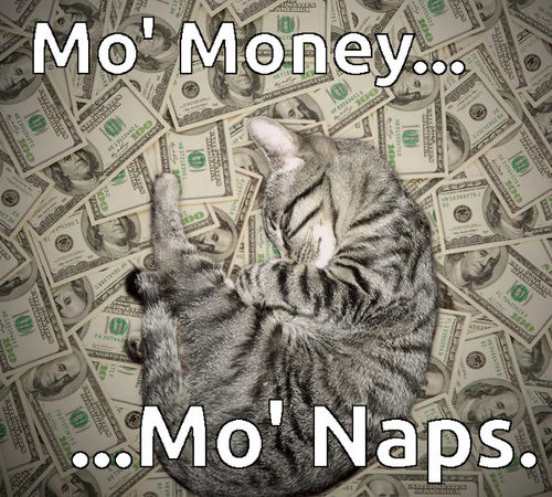 Cat Meme - Mo' Money Mo' Naps