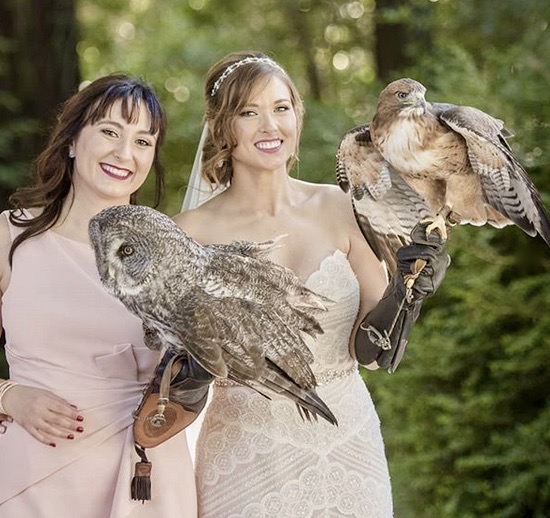 Jessica holding a hawk and an owl at her wedding. 