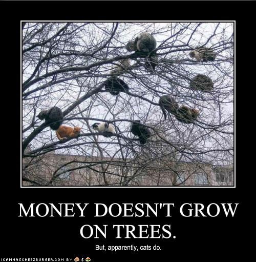 cat money tree