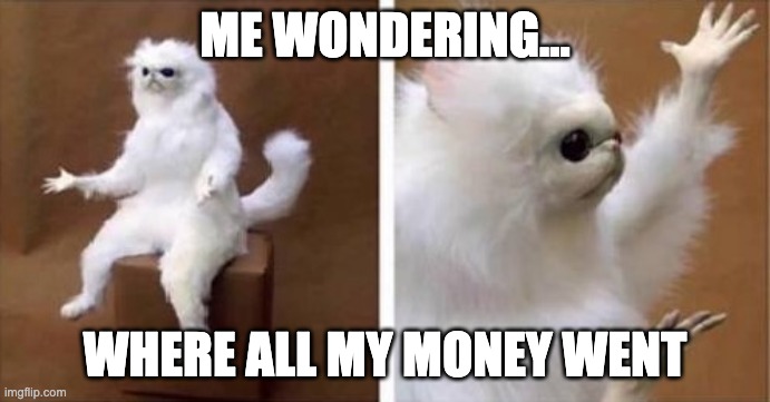 me wondering where all my money went - white monkey puppet meme